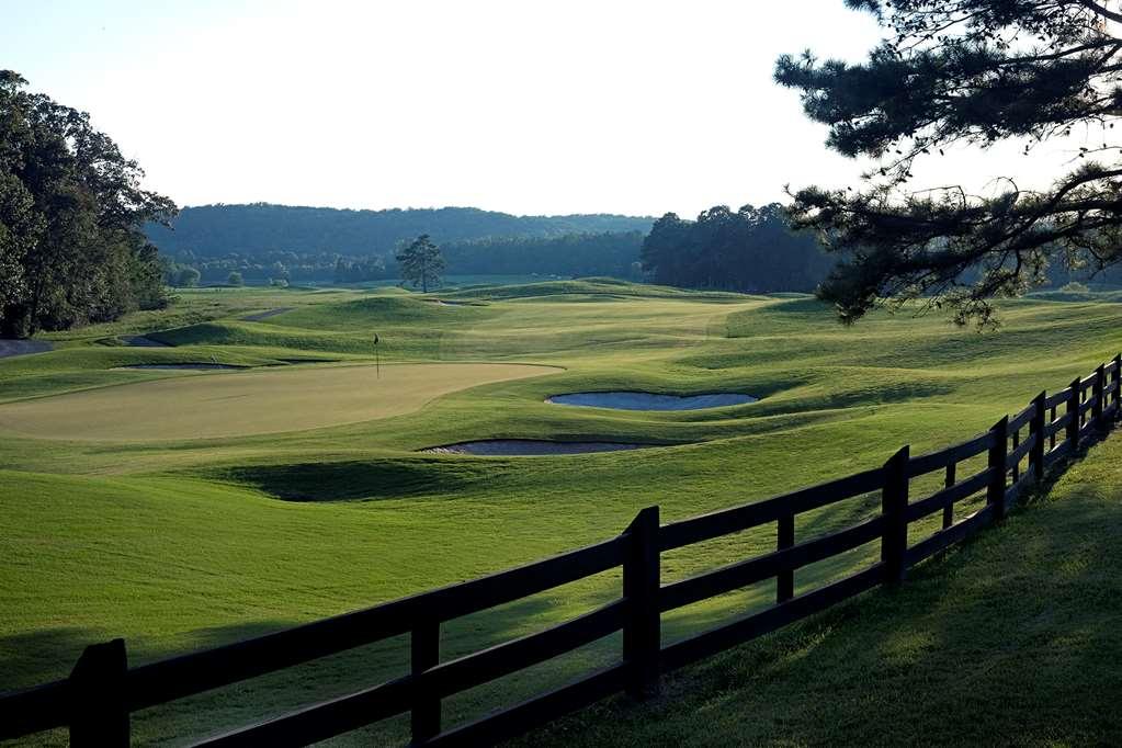 Barnsley Resort Adairsville Facilidades foto